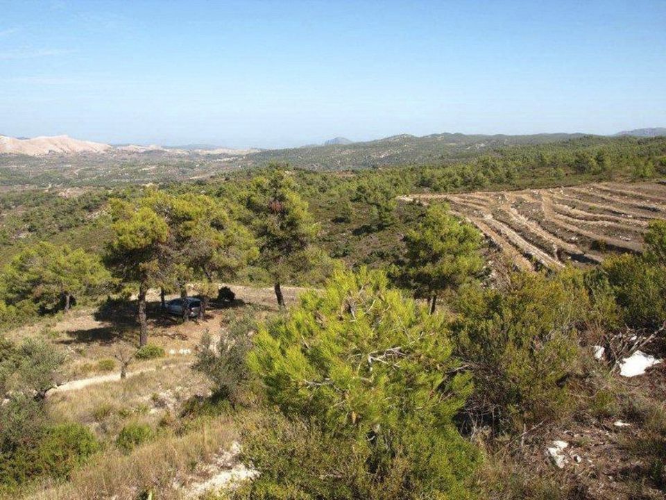 Helårsgrund i Alcala De La Jovada, Alicante - foto 2