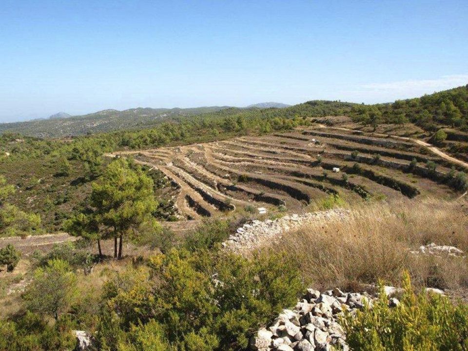 Helårsgrund i Alcala De La Jovada, Alicante - foto 5