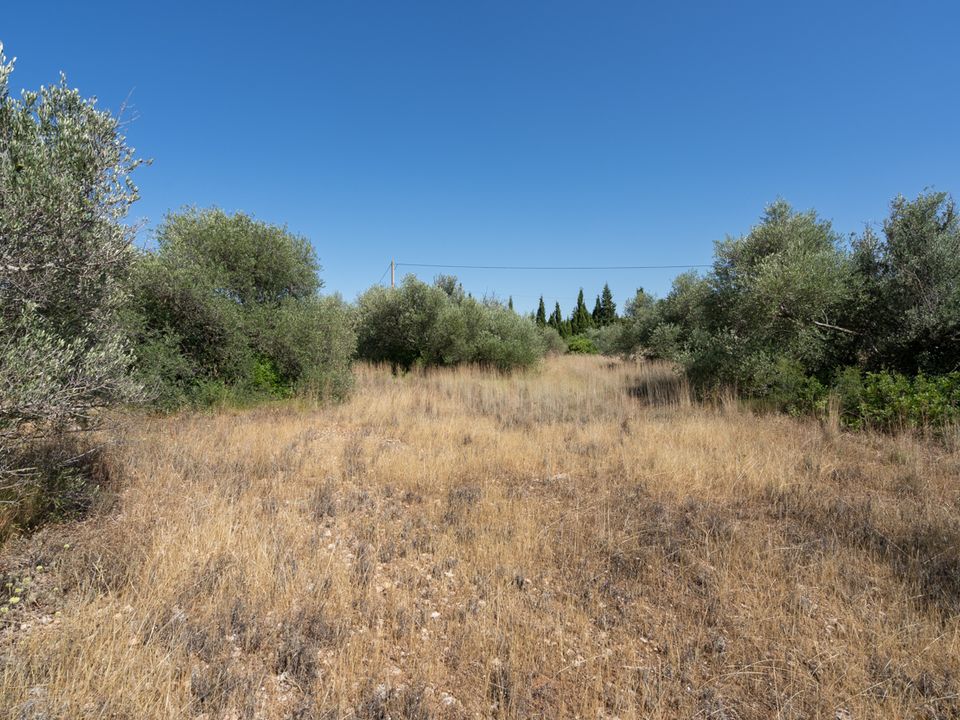 Finca i Tortosa, Tarragona - foto 5