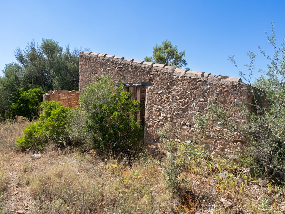 Finca i Tortosa, Tarragona - foto 2