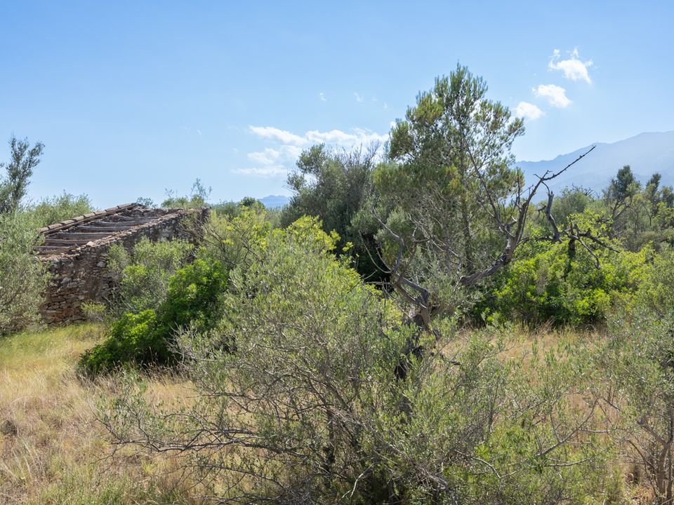 Finca i Tortosa, Tarragona - foto 4