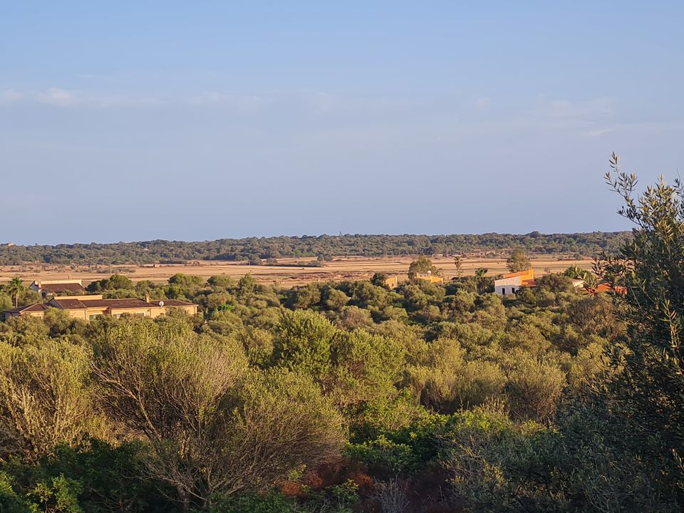 Helårsgrund i Santanyi, Mallorca - foto 1
