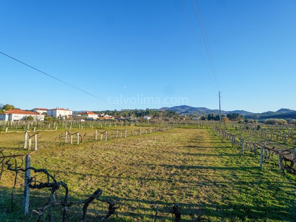 Helårsgrund i Moncao, Viana do Castelo - foto 3