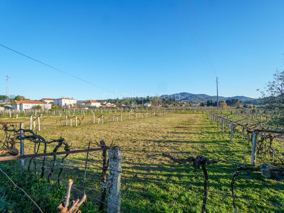 Helårsgrund i Moncao, Viana do Castelo - foto 5