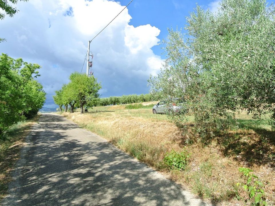 Helårsgrund i Citta Sant'Angelo, Pescara - foto 3