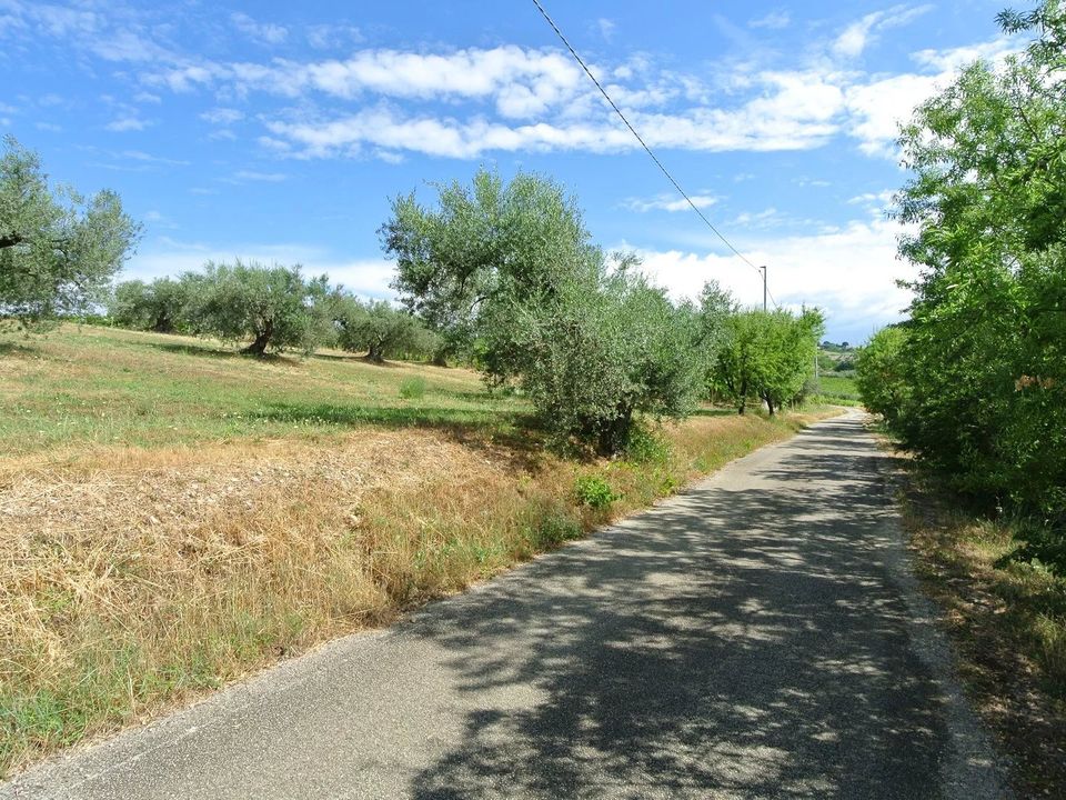 Helårsgrund i Citta Sant'Angelo, Pescara - foto 4