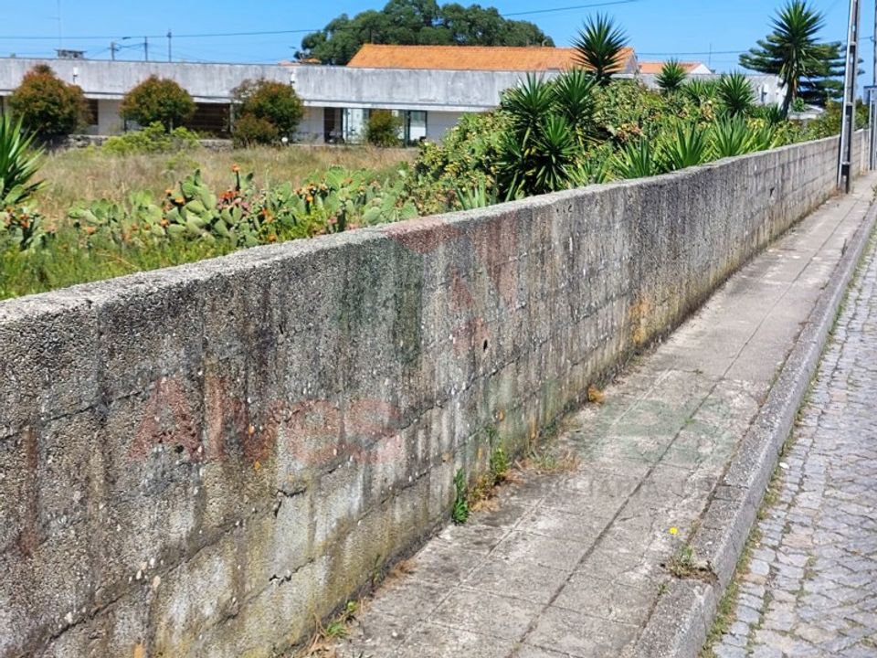 Tomt i Mindelo, Porto - bilde 4