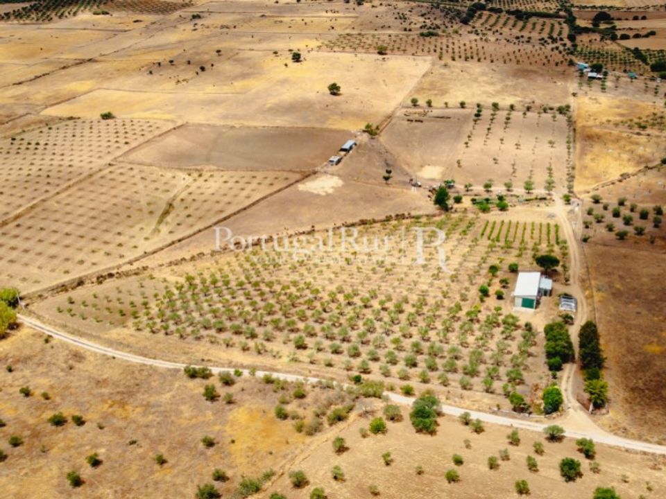 Landejendom i Campo Maior, Portalegre - foto 1