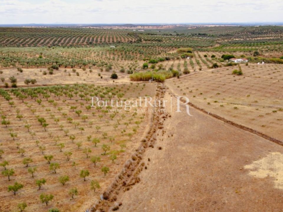 Landejendom i Campo Maior, Portalegre - foto 5
