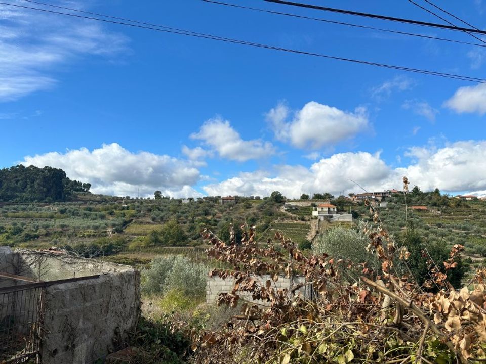 Landejendom i Lamego, Viseu - foto 5