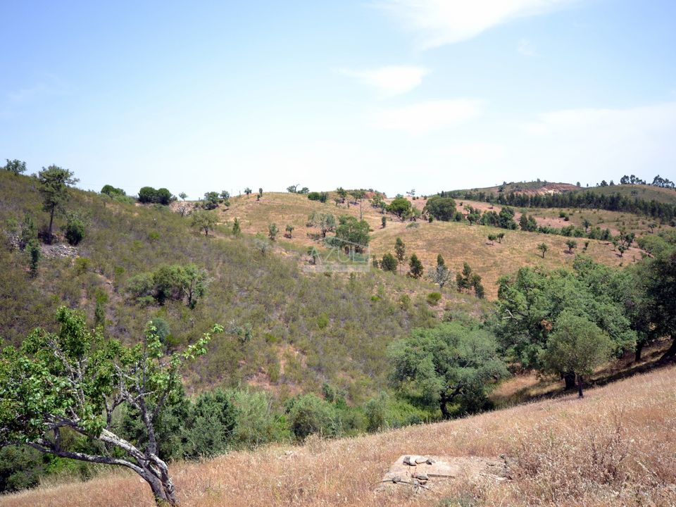 Helårsgrund i Loule, Faro - foto 5