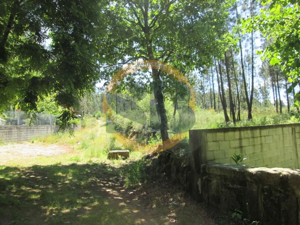 Helårsgrund i Caldas de Sao Jorge, Aveiro - foto 2