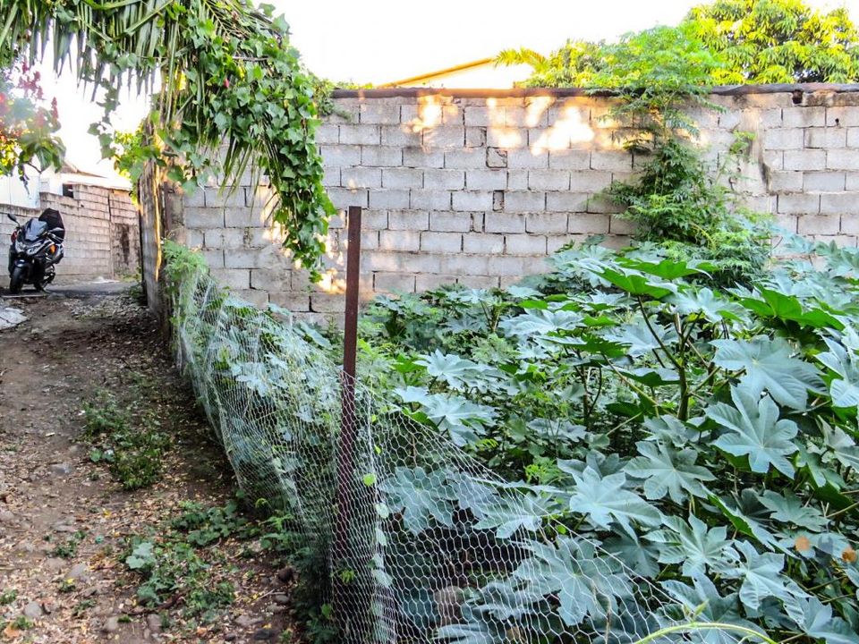 Tomt i Saint-Louis, La Reunion - bilde 1