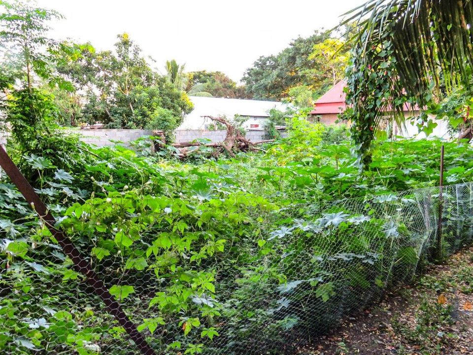Tomt i Saint-Louis, La Reunion - bilde 2