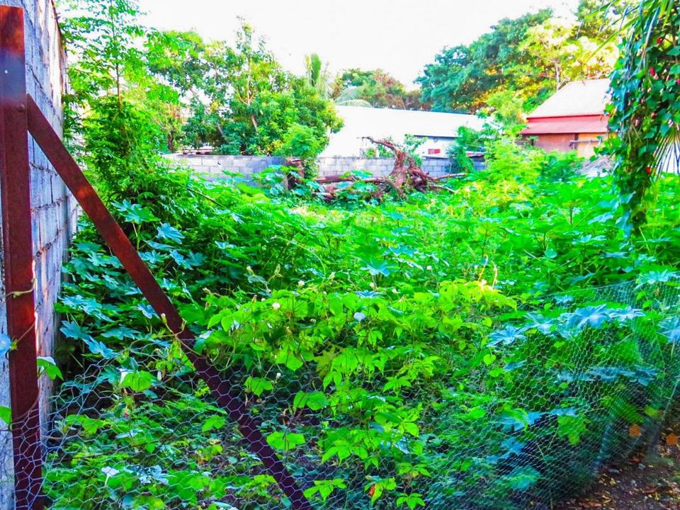 Tomt i Saint-Louis, La Reunion - bilde 4
