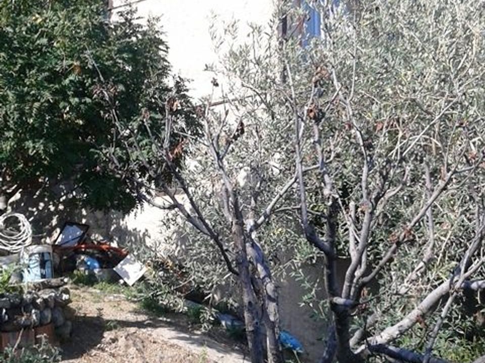 Helårsgrund i Messina, Messina - foto 3