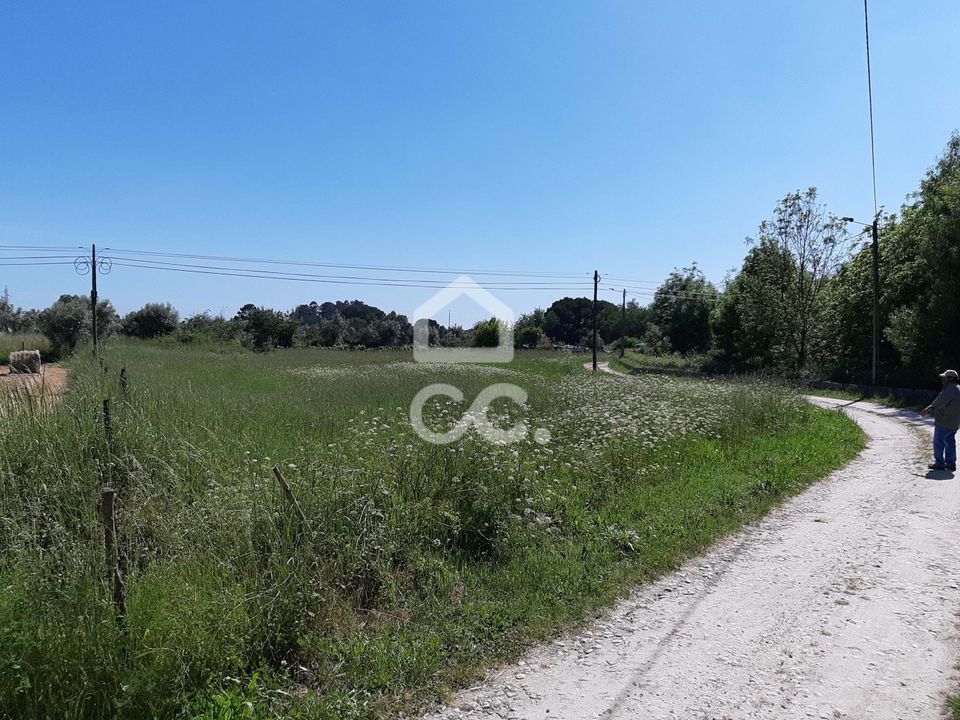 Działka: Nelas, Viseu – zdjęcie 1