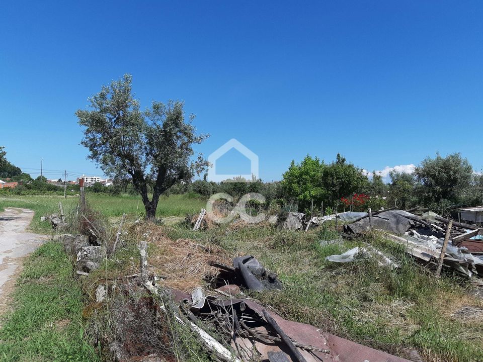 Działka: Nelas, Viseu – zdjęcie 2
