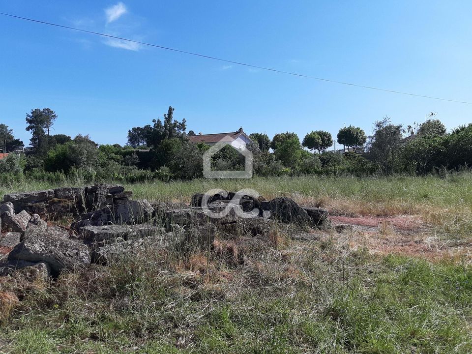Tomt i Nelas, Viseu - bilde 3