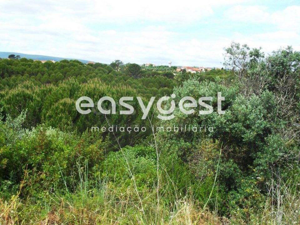 Grond in Assentiz, Santarem - foto 2