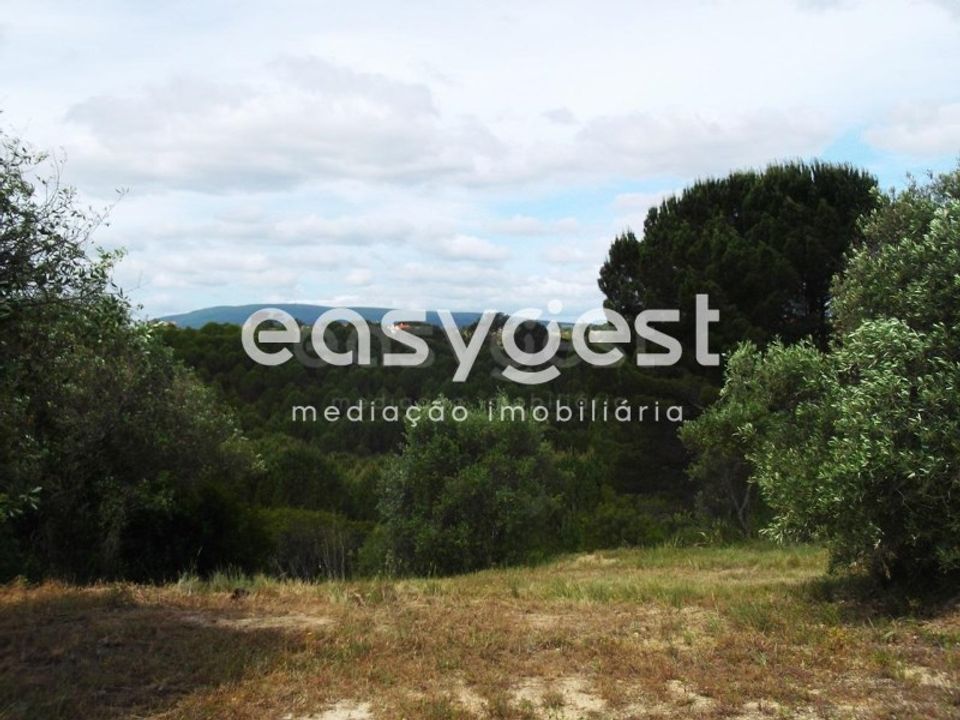 Grond in Assentiz, Santarem - foto 4