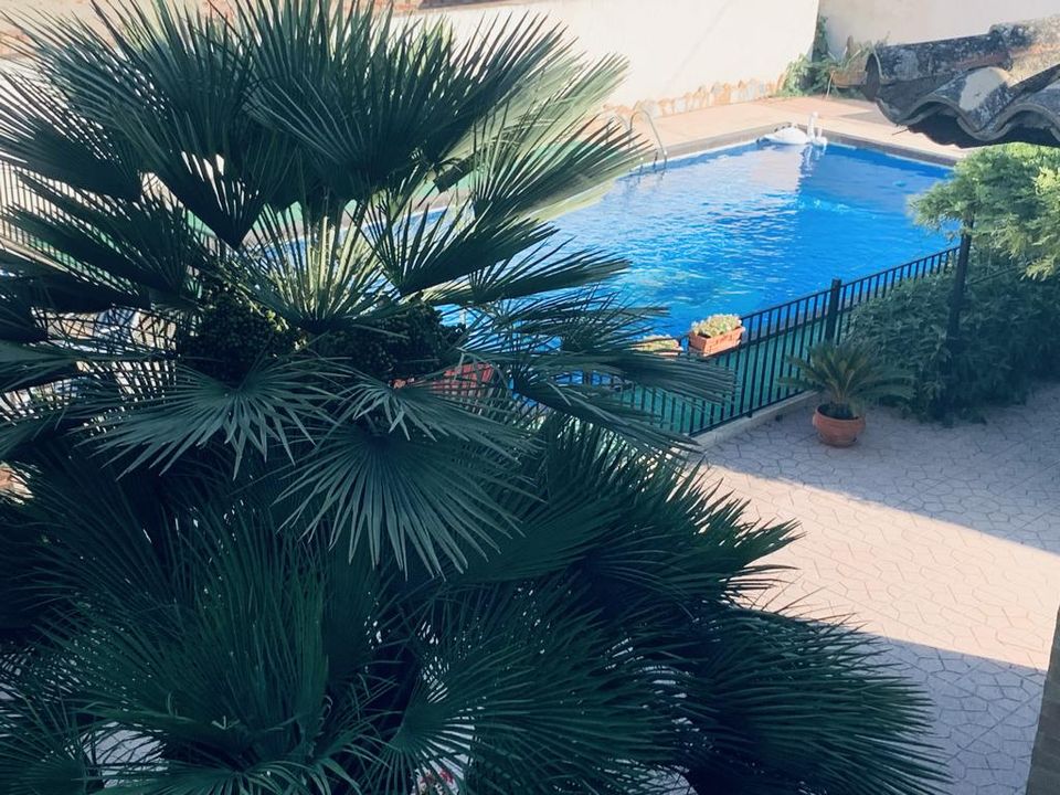 Landejendom i Monovar, Alicante - foto 3