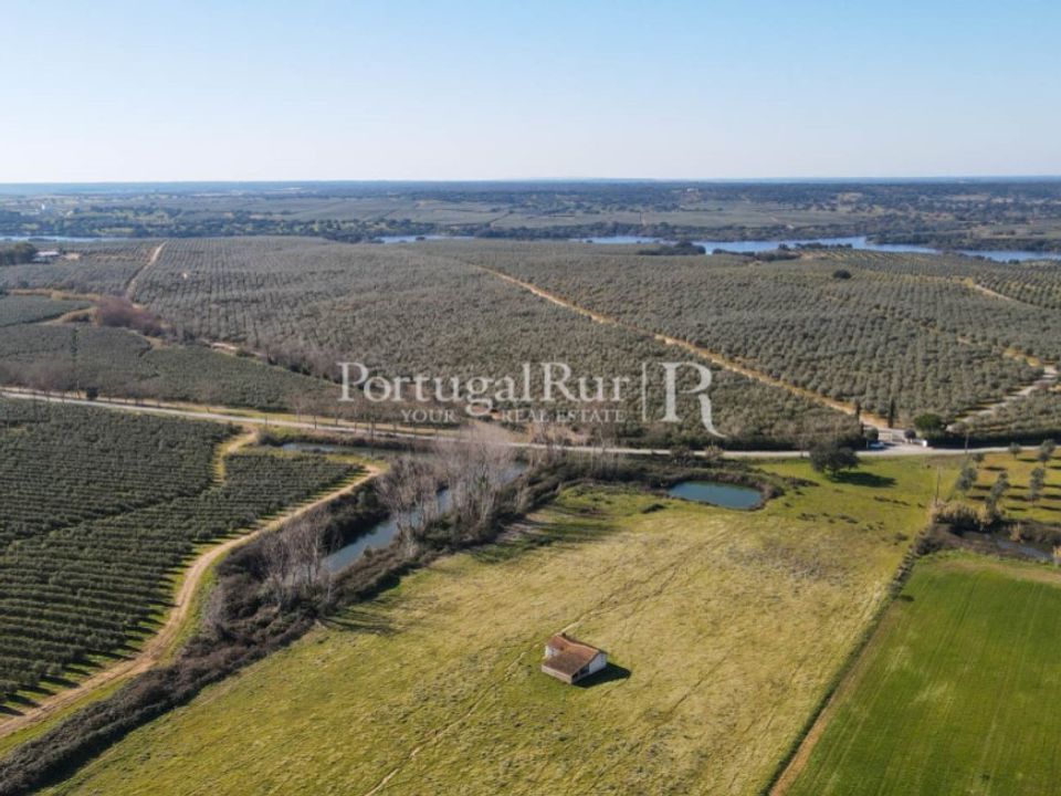 Farm i Avis, Portalegre - foto 1