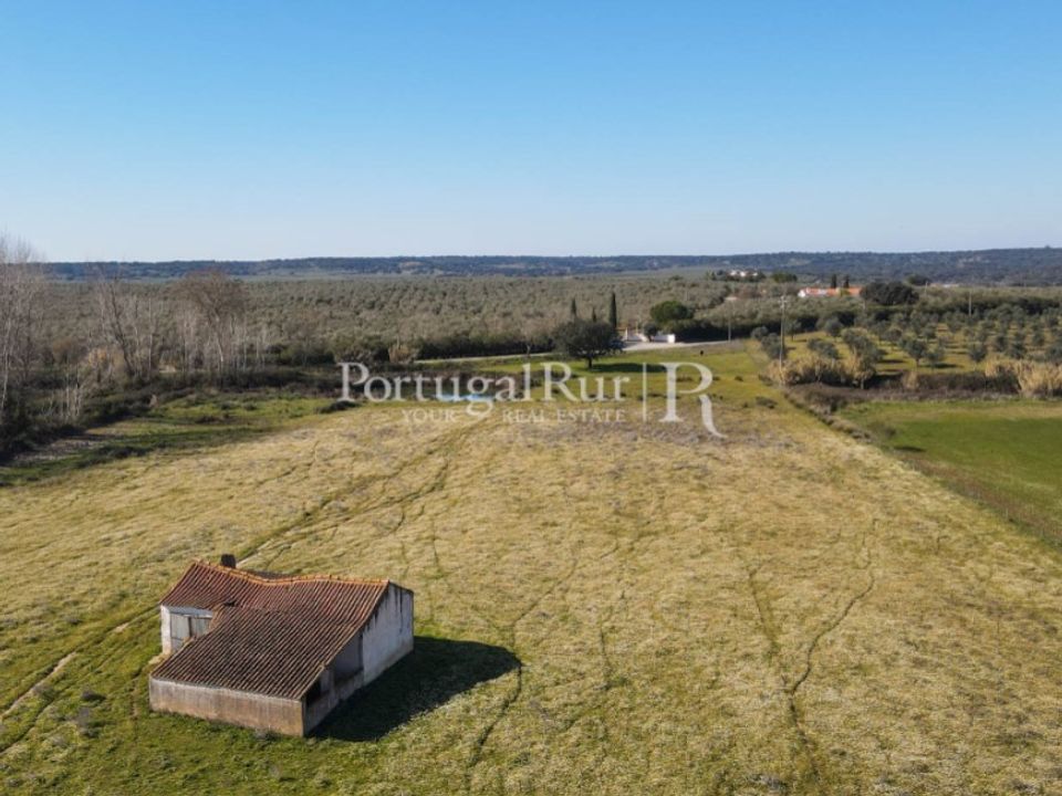 Farm i Avis, Portalegre - foto 2