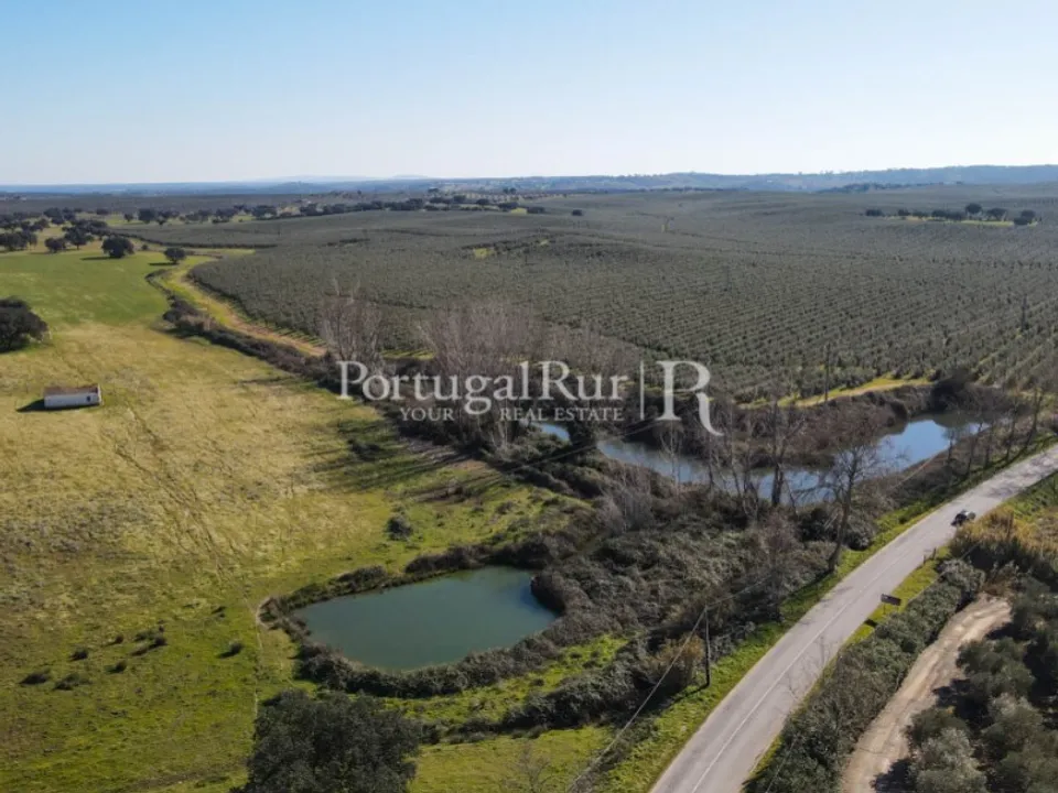 Farm i Avis, Portalegre - foto 3