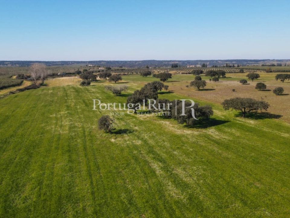 Farm i Avis, Portalegre - foto 4