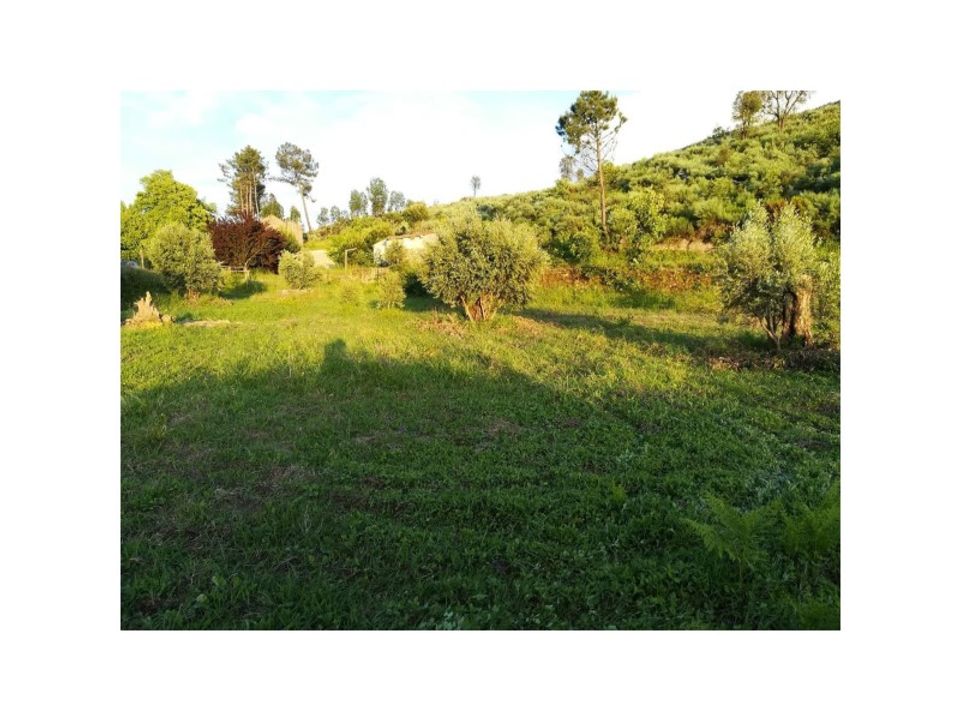 Helårsgrund i Abrunhosa-a-Velha, Viseu - foto 2