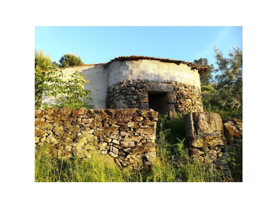 Helårsgrund i Abrunhosa-a-Velha, Viseu - foto 1