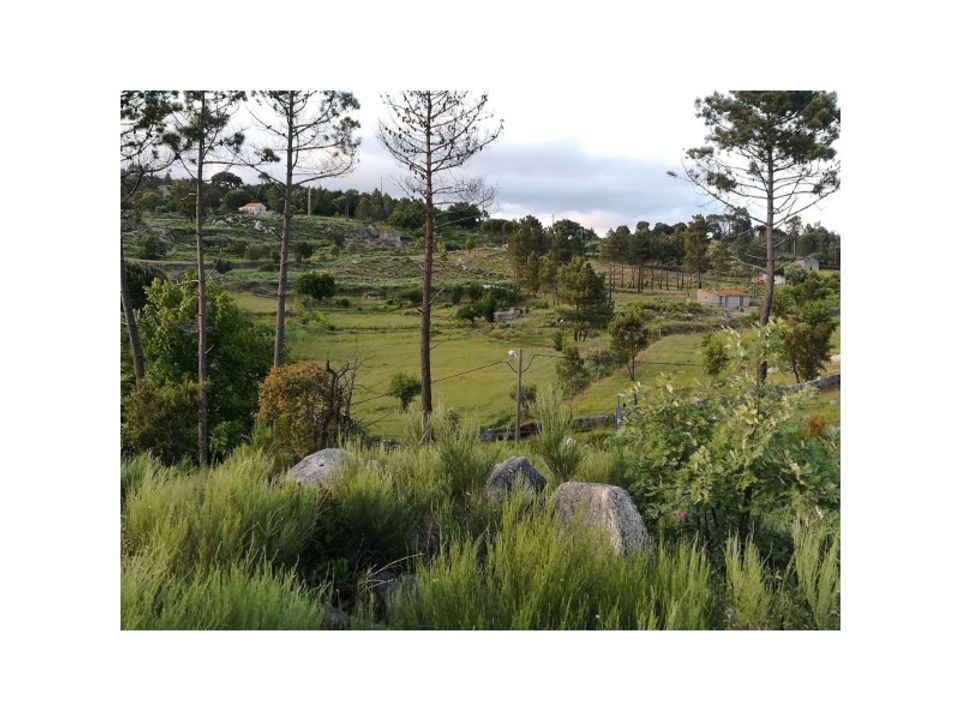 Helårsgrund i Abrunhosa-a-Velha, Viseu - foto 4