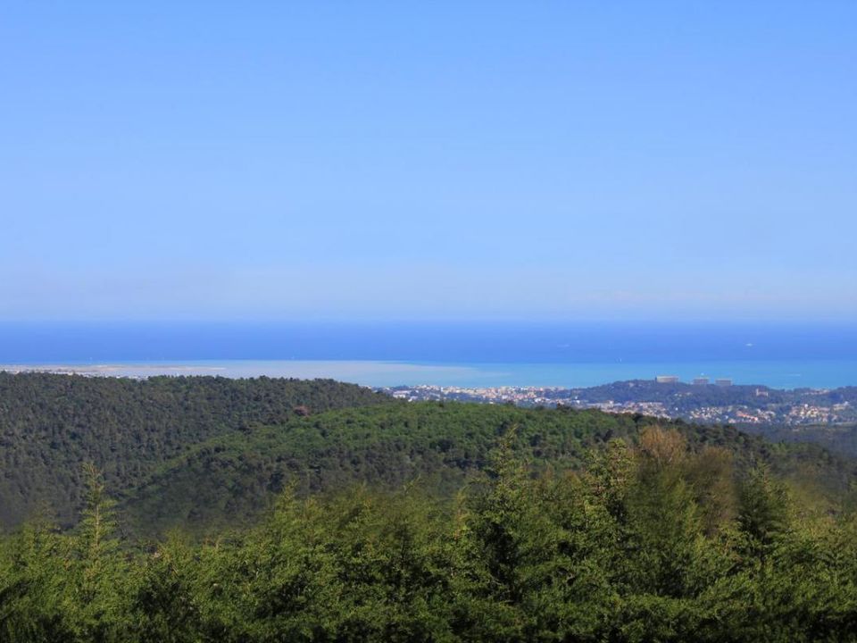 Erhvervsejendom i Tourrettes-sur-Loup, Alpes-Maritimes - foto 3
