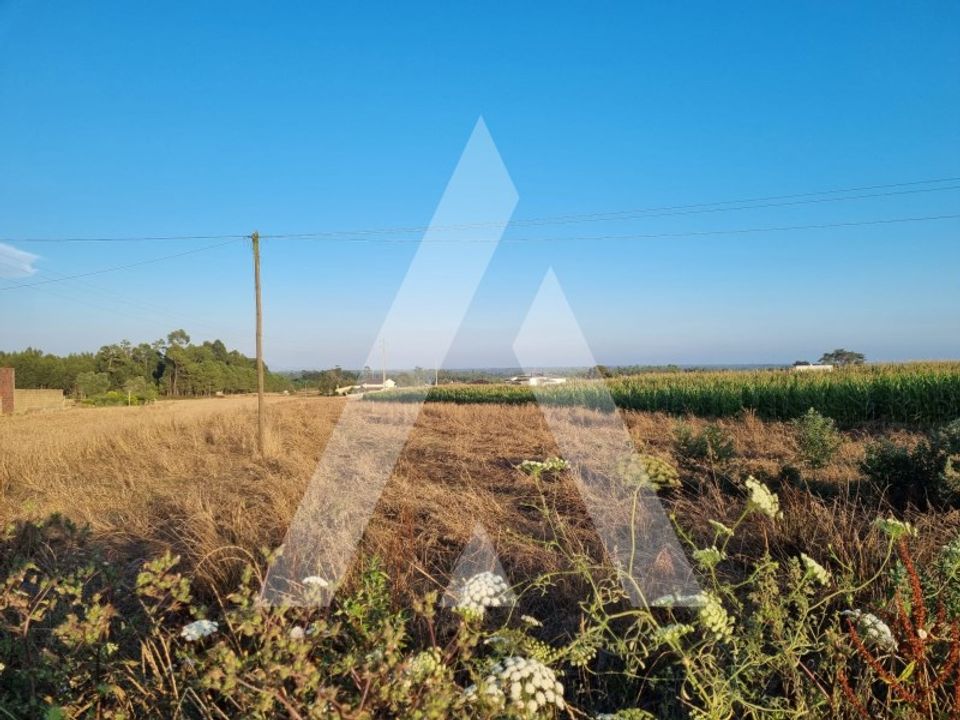 Działka: Arouca, Aveiro – zdjęcie 2