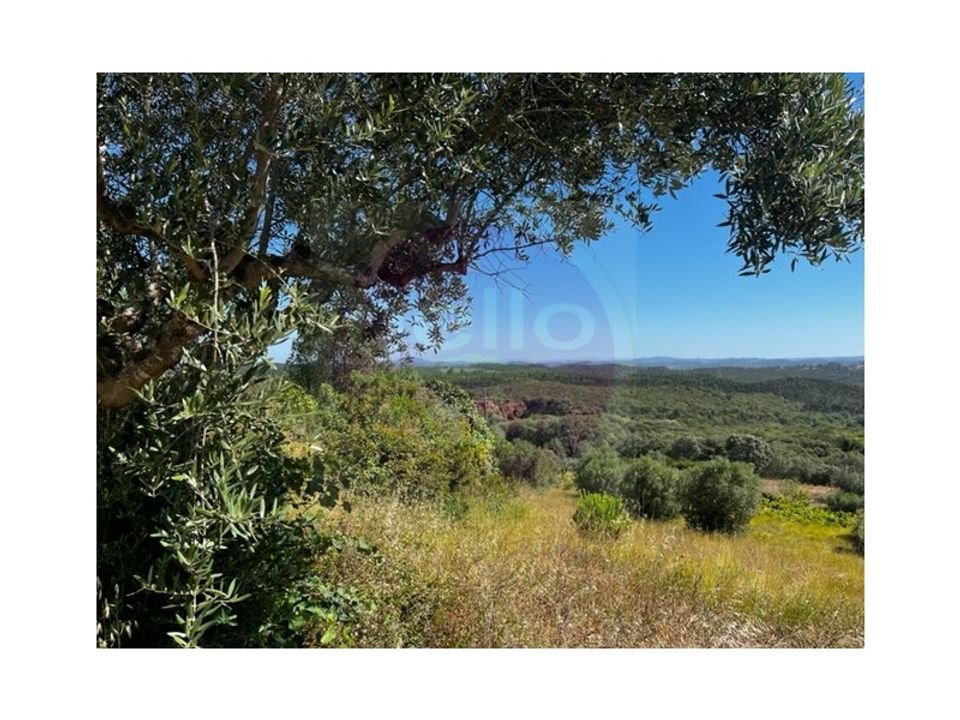 Helårsgrund i Tomar, Santarem - foto 2