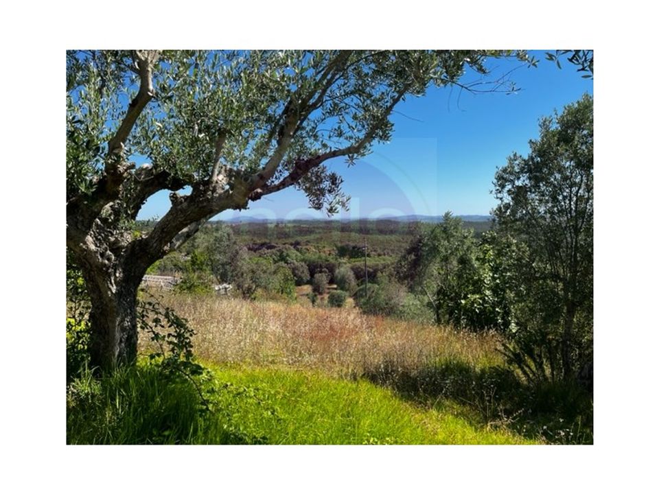 Helårsgrund i Tomar, Santarem - foto 3