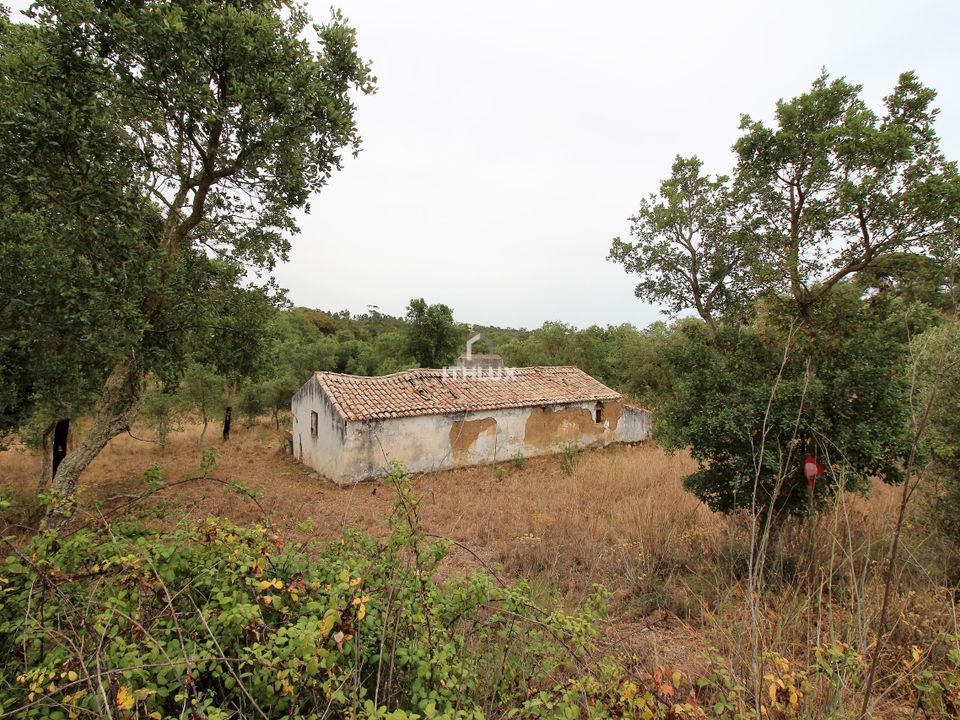 Gårdshus i Santiago do Cacem, Setubal - bilde 4