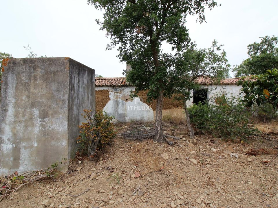 Gårdshus i Santiago do Cacem, Setubal - bilde 5
