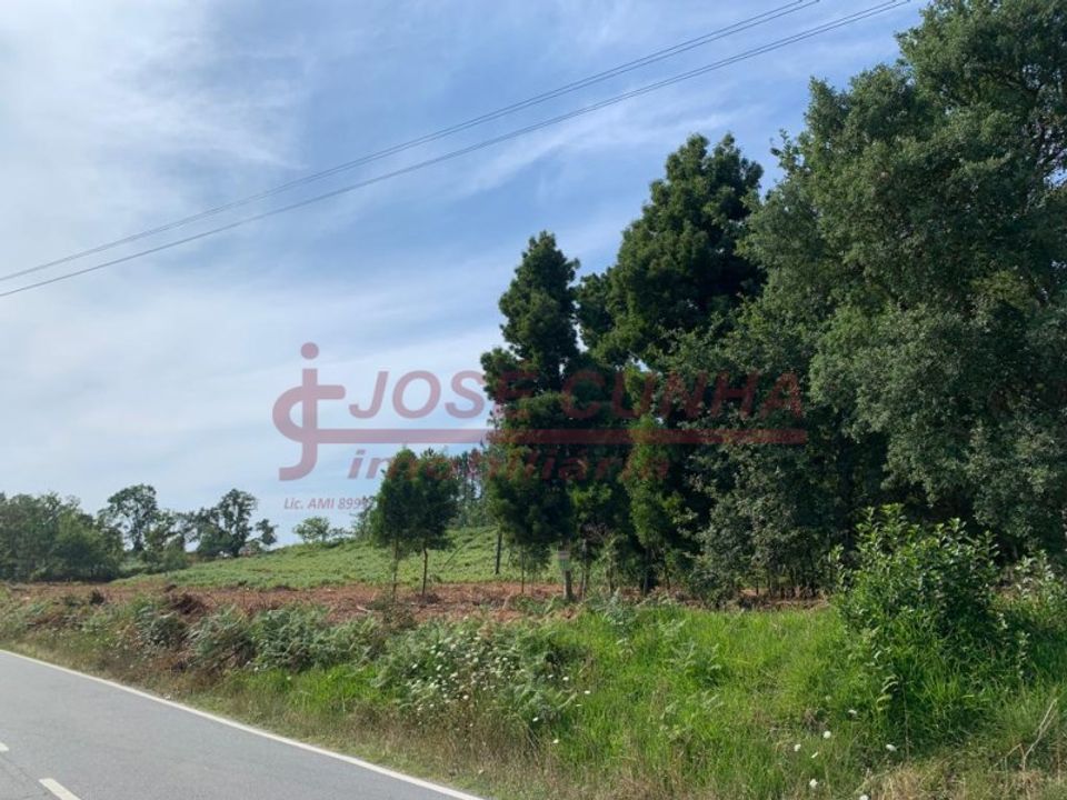 Helårsgrund i Caminha, Viana do Castelo - foto 1