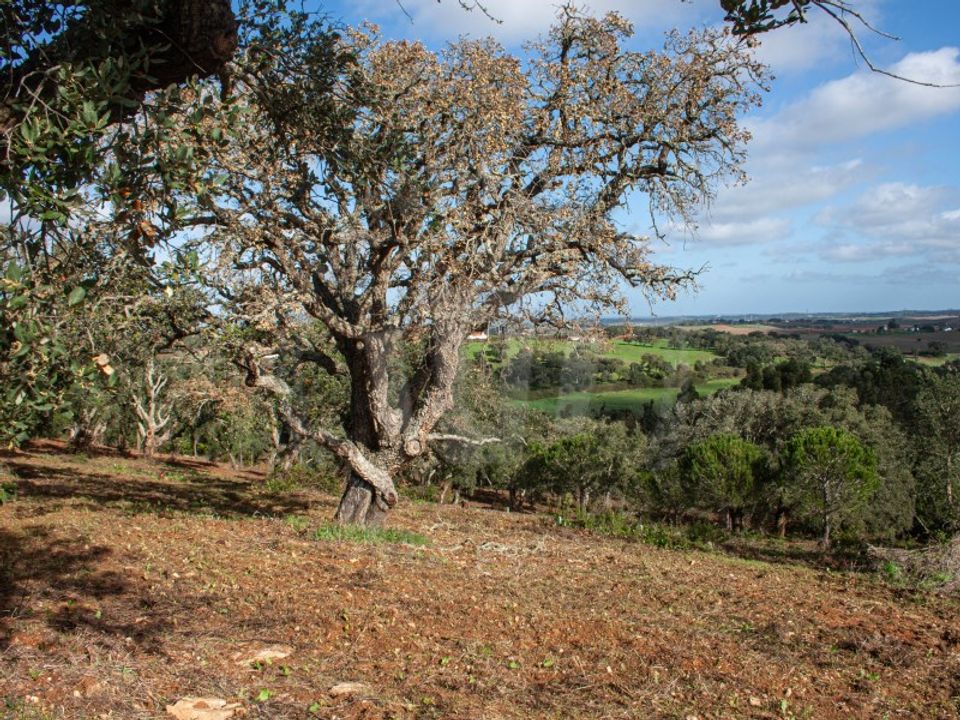 Farm i Aldeia de Sao Luis, Beja - foto 1