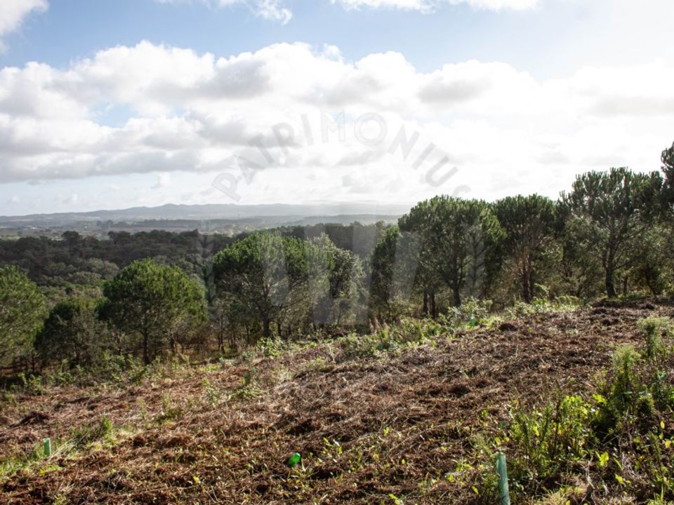 Farm i Aldeia de Sao Luis, Beja - foto 2