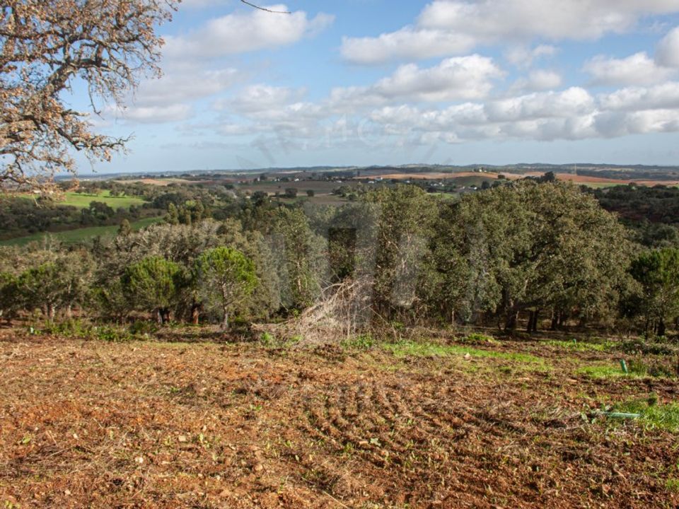 Farm i Aldeia de Sao Luis, Beja - foto 3
