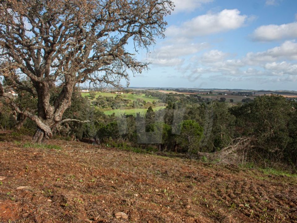 Farm i Aldeia de Sao Luis, Beja - foto 4