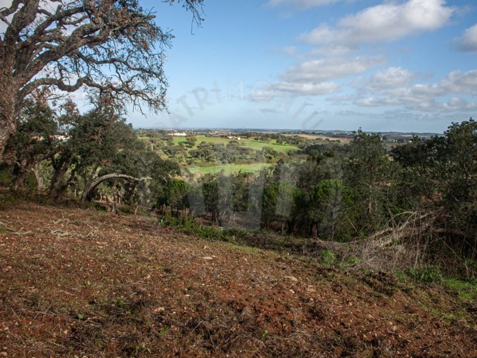 Farm i Aldeia de Sao Luis, Beja - foto 5