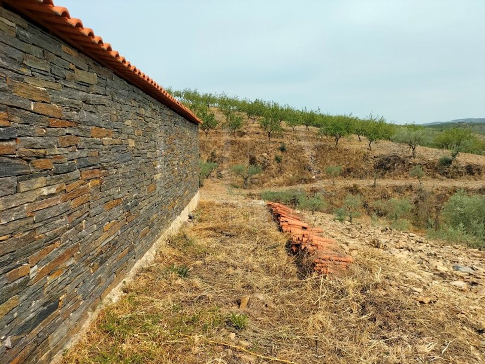 Farm i Figueira de Castelo Rodrigo, Guarda - foto 4