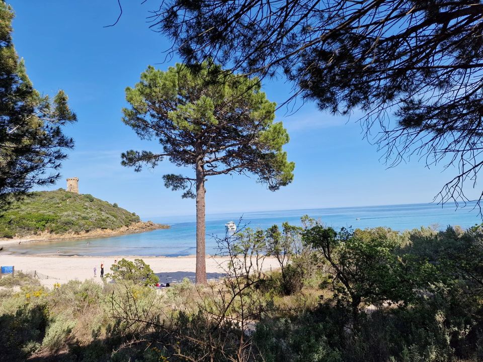 Herregård i Conca, Corse-du-Sud - bilde 5