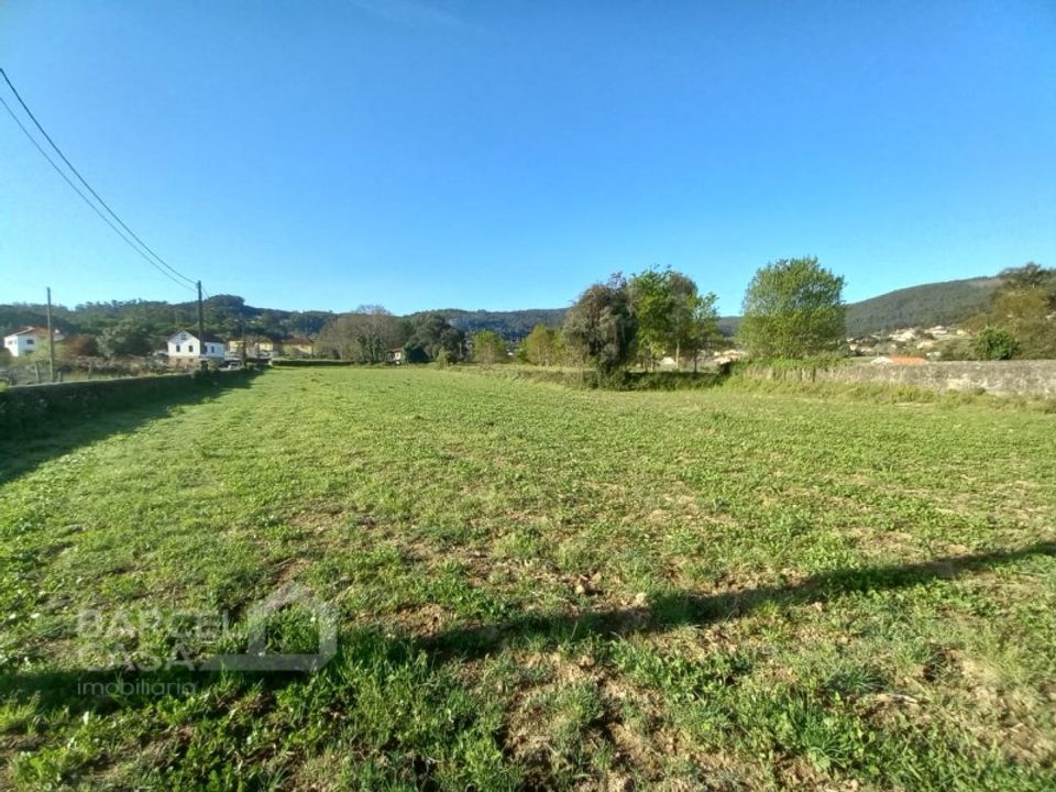 Helårsgrund i Barcelos, Braga - foto 5