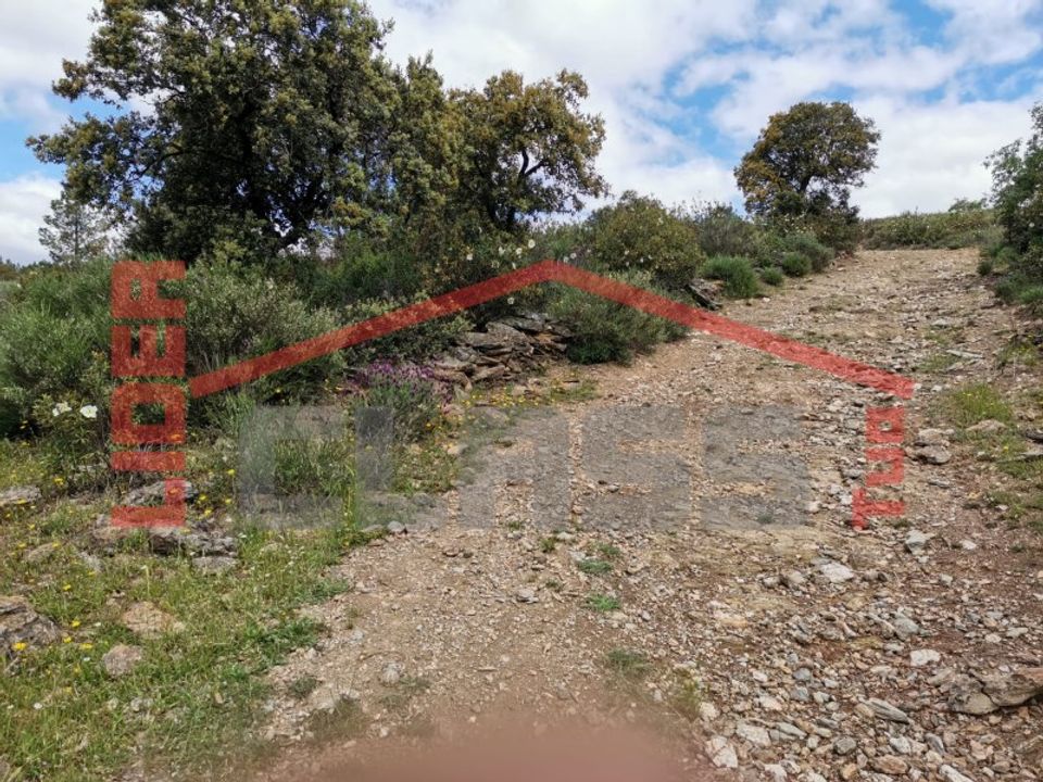 Tomt i Mogadouro, Braganca - bilde 5