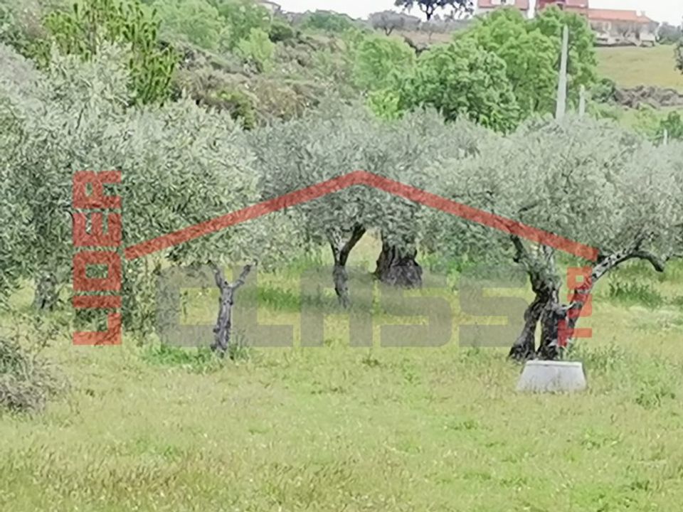 Tomt i Mogadouro, Braganca - bilde 3
